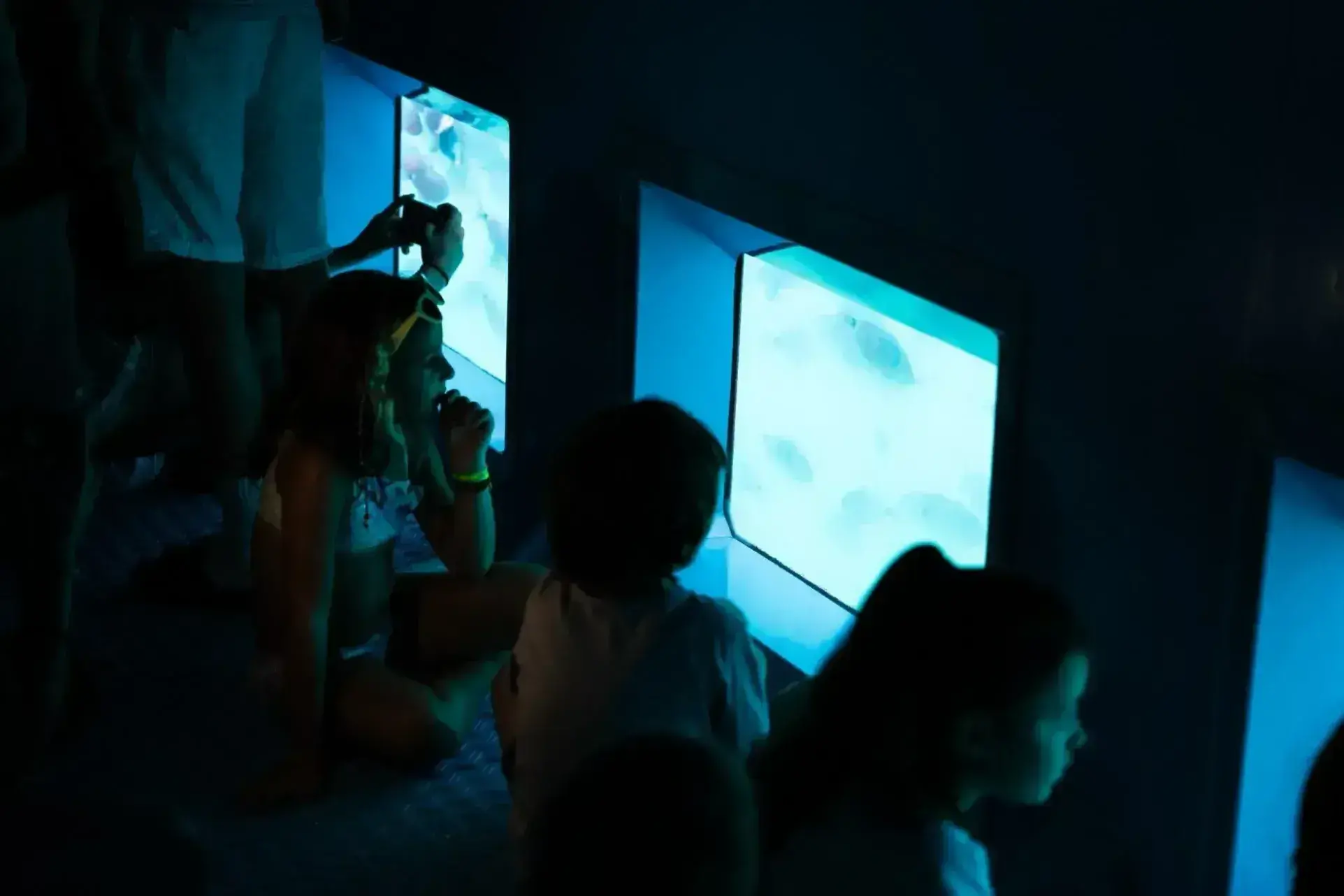 vision-submarina-tabarkeras